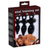 Plug Anali Training Set