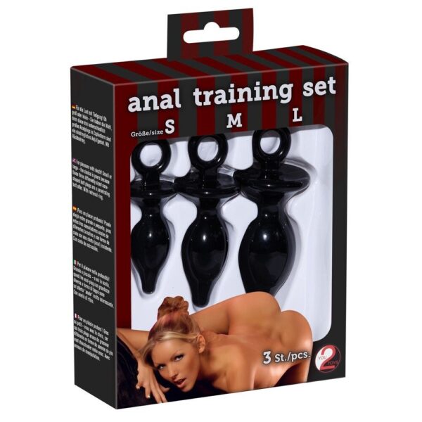 Plug Anali Training Set