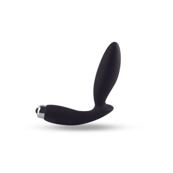 Stimolatore anale Secret Soulmate