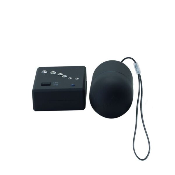 00904384-5 Ovetto Vibrante Crystal Lover