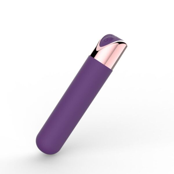 7098923-5 Mini Vibratore Unforgettable Moments