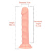 7099097_12-MIs Dildo Anale Ugo 15,5 cm