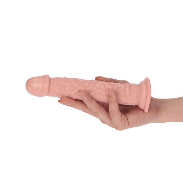 Dildo Realistico Amedeo 19 cm