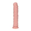 7099167-4 Dildo Realistico Claudio 20 cm