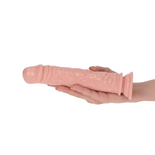 7099167-5 Dildo Realistico Claudio 20 cm