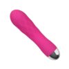7101068-4 Vibratore Classico Pro Delight