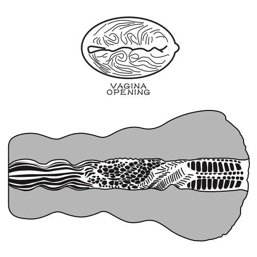 7102872-5 Vagina Artificiale Aliens Pie