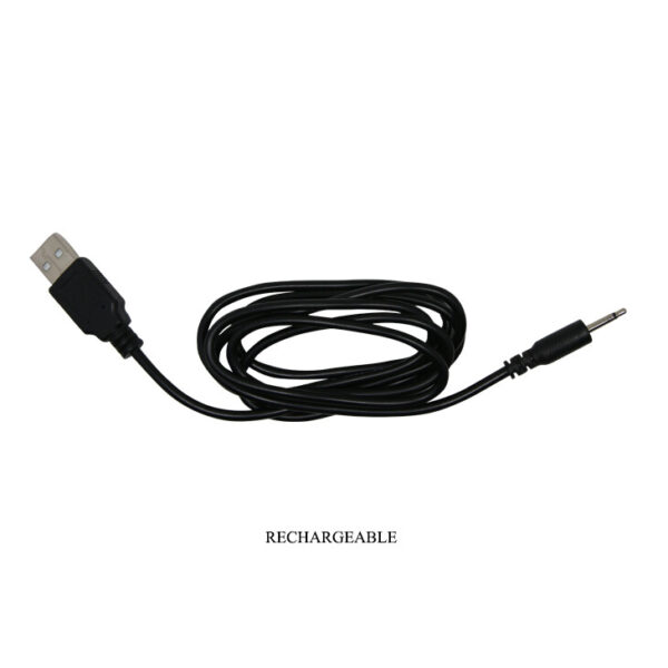 Vibratore Anale Pulse Point