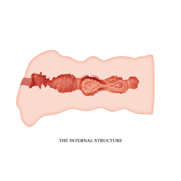 BM-009132U_06 Vagina Artificiale Leila