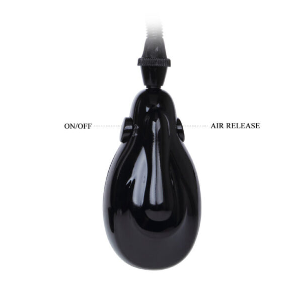 Pompa Sviluppatore Pene Alexander Valve Barometer