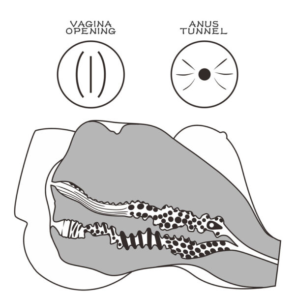 Masturbatore Streetgirls 7