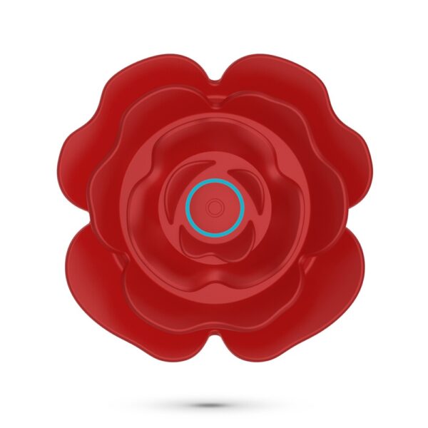 Vibratore Anale Romeo