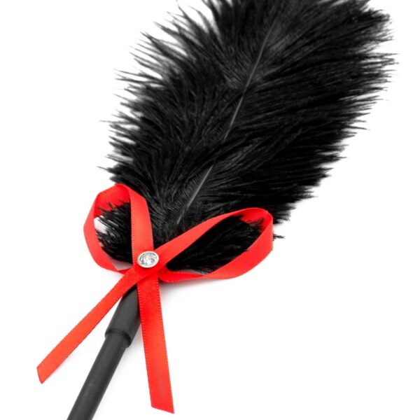 fetish-b-series-tickler-whip-2-0202 Frustino Red Desire Tickler Duo