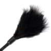 fetish-b-series-tickler-whip-3-0201 Frustino Sensual Tickler Duo